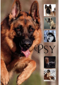 Psy