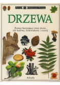 Drzewa . Poznaj fascynujący świat drzew , ich budowę , różnorodność i rozwój