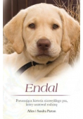 Endal