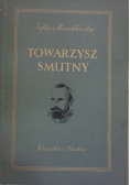 Towarzysz smutny