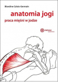 Anatomia jogi Praca mięśni w jodze
