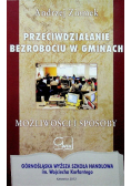 Przeciwdziałanie bezrobociu w gminach