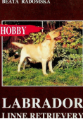 Labrador i inne retrievery