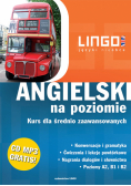 Angielski na poziomie