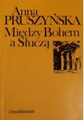 Między Bohem a Słuczą