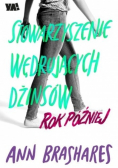 Stowarzyszenie Wędrujących Dżinsów Rok później