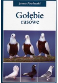 Gołębie rasowe
