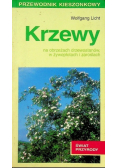 Krzewy
