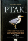 Ptaki