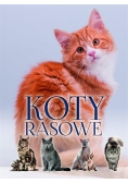 Koty rasowe
