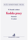 Kodeks pracy. Komentarz