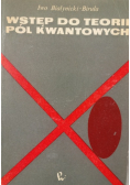 Wstęp do teorii pól kwadratowych