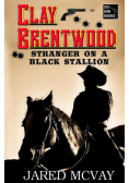 Stranger on a Black Stallion