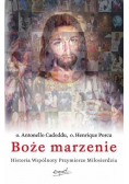 Boże marzenie Historia Wspólnoty Przymierze Miłosierdzia