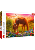 Puzzle 500 Konie na łące