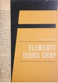 Elementy teorii grup