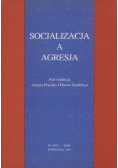 Socjalizacja a agresja