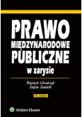 Prawo międzynarodowe publiczne w zarysie