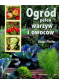 Ogród pełen warzyw i  owoców