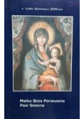 Matka Boża Pocieszenia Pani Gniezna