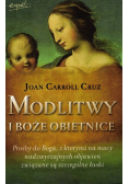 Modlitwy i Boże obietnice