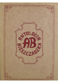 Antologia bieszczadzka
