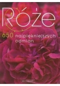 Róże 650 najpiękniejszych odmian