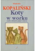 Koty w worku czyli z dziejów pojęć i rzeczy