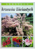 Leksykon krzewów liściastych