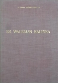 Ks. Walerian Kalinka. Życie i działalność