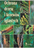 Ochrona drzew i krzewów iglastych