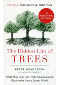 The Hidden Life of Trees
