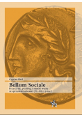 Bellum Sociale