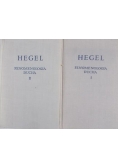 Fenomenologia ducha, I-II tom