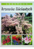 Leksykon krzewów liściastych