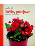 Rośliny pokojowe