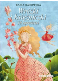Wróżki i księżniczki 18 opowieści