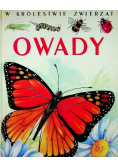 W królestwie zwierząt Owady