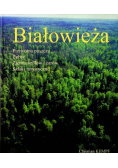 Białowieża Pierwotna puszcza