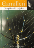 Cierpliwość pająka