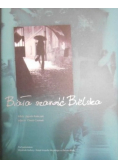 Biała szarość Bielska