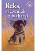 Reks szczeniak z wakacji