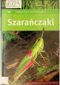 Szarańczaki