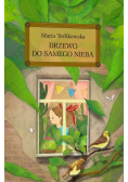 Drzewo do samego nieba