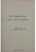 Do Ciebie Jezu