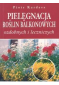 Pielęgnacja roślin balkonowych