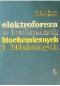 Elektroforeza w badaniach biochemicznych i klinicznych