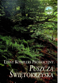 Puszcza Świętokrzyska