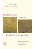 Stretching the Limits of Productive Imagination