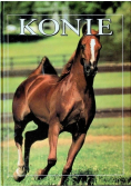 Konie